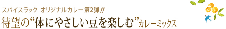 待望の体に優しい豆を楽しむカレーミックス