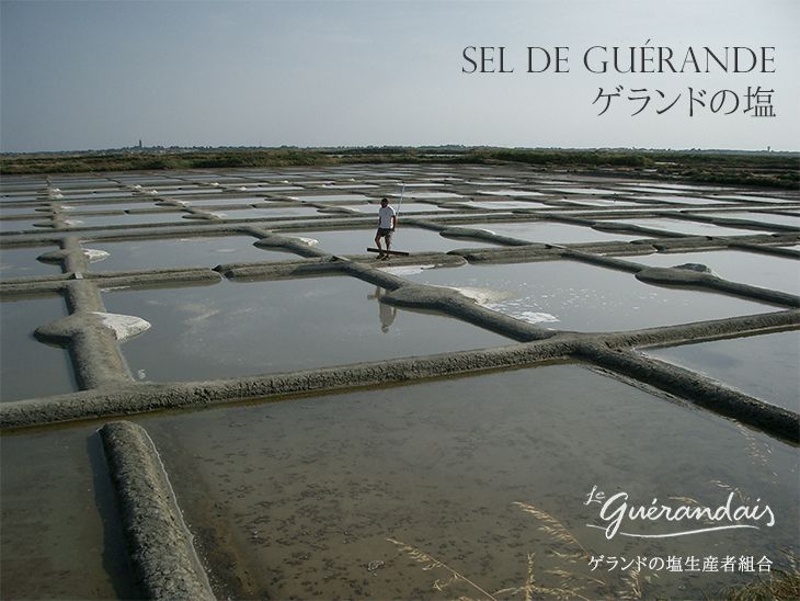 ゲランドの塩/ Sel de Guerande