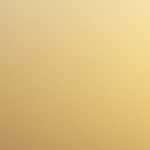 2011年6月の月間販売ランキング