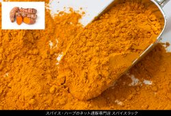 【豆知識】スパイスの効能：ターメリックウコン