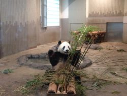 夏を満喫☆動物園へ行ってきました！