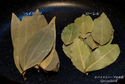 【豆知識】実は別物！？ ローレルとベイリーフの違いって？